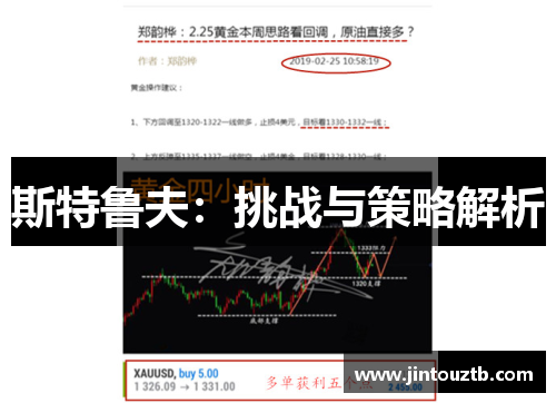 斯特鲁夫：挑战与策略解析